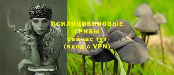 дживик Балабаново