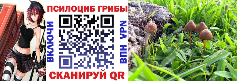 гидра зеркало  shop состав  Галлюциногенные грибы ЛСД  где можно купить   Первомайск 